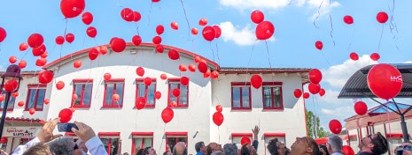 Picture showing a big amount of red balloons that have been raised by our customers in front of the LS telcom premises.